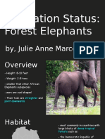 Population Status: Forest Elephants: By, Julie Anne Marcelo