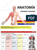 ANATOMÍA - Resumen Músculos - Miembro Superior - Desbloqueado