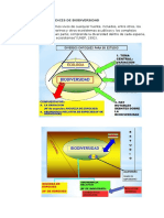 Medición Biodiversidad