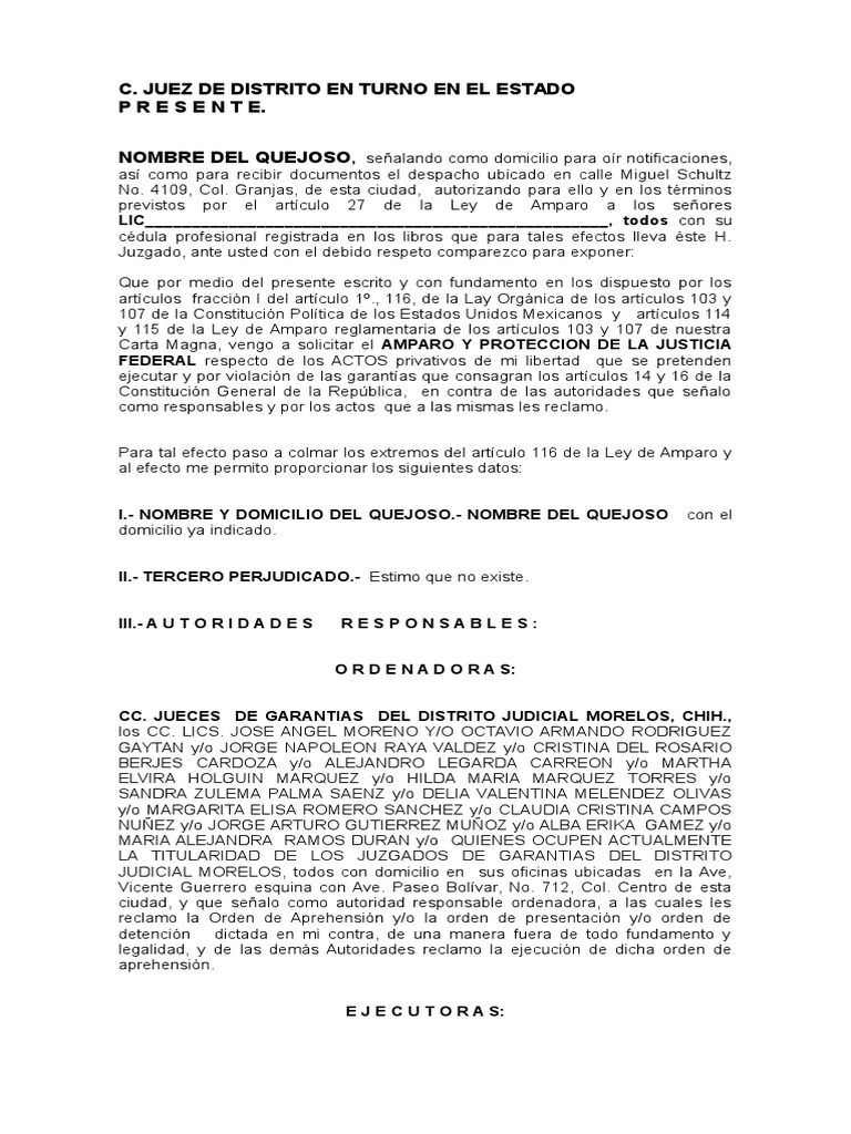 Amparo Contra Orden de Aprehension, Nuevo Sistema Penal Oral | PDF | Pena  capital | Violación