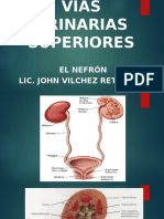 I Clase Vías Urinarias Superiores La Nefrona