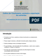 Chuchu.pdf