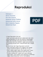 Sistem Reproduksi