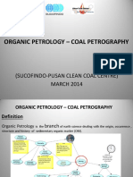 Coal Petrology-Solutions For Coal Combustion Problems