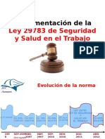 165320120 Implementacion de La Ley 29783