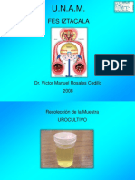 Presentació Urocultivo