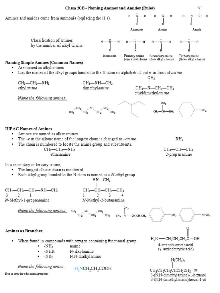 Naming Amines and Amides Rules PDF | PDF | Amine | Amide