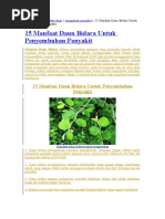 Download Daun Bidara by Rahmayanti Rasyid SN327132320 doc pdf