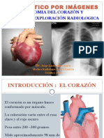 1ra Clase ANATOMIA DEL CORAZON