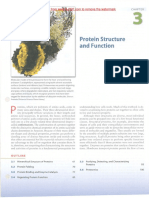 Lodish Molecular Cell Biology 7th 3 Protein Structure and Function PDF