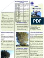 Tree Management Brochure 12 04 13