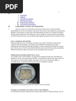 Novo(a) Microsoft Word Document
