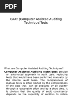 CAAT (Computer Assisted Auditing Technique) Tests