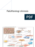 Patofisiologi Shirosis