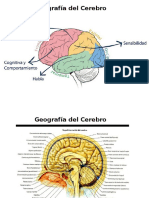 Psicologia Evolucionista