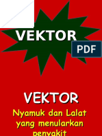 Vektor