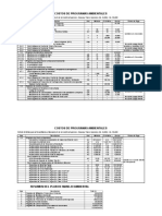 Presupuesto Ambiental 0809