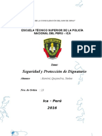 Seguridad y Proteccion de Dignatario