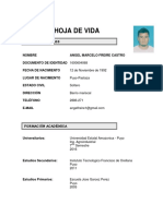 Hoja de Vida PDF