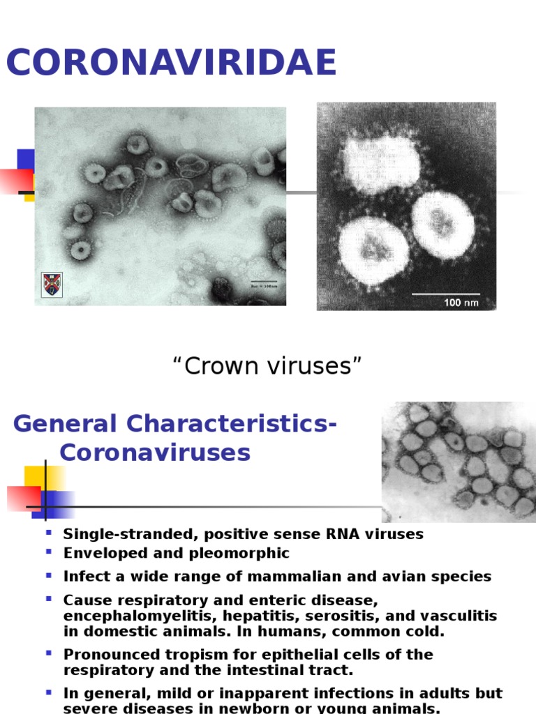 are rna viruses curable