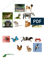 Figuras de Animales