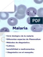 Malaria