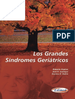 Los Grandes Sindromes Geriatricos PDF