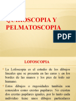 Quiroscopia y Pelmatos