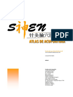 ShenProfessional 3.0 (en español)