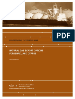 Natural Gas Export Options For Israel and Cyprus: Mediterranean Paper Series 2013
