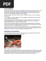 Download permainan tradisional by faiz g SN3272319 doc pdf