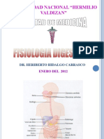 Introduccion Fisiologia Digestiva