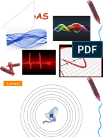 Las Ondas Del Nivel de Sexto Grado