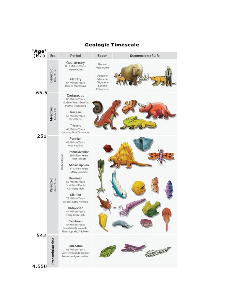 geologic time scale dinosaurs