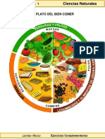 3er Grado - Ciencias Naturales - El Plato Del Bien Comer PDF