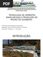 Vigor de Sementes de Quiabo