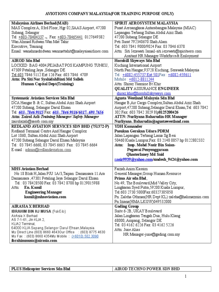 Aviations Company 1  PDF