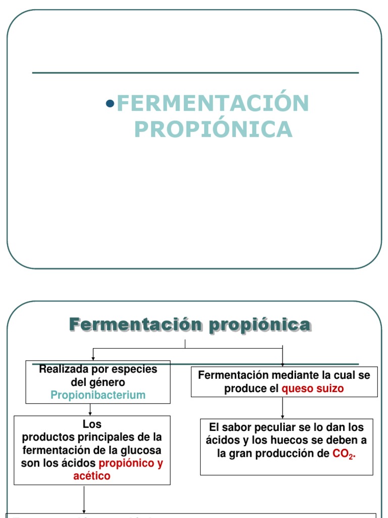 fermentación propionica