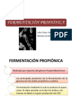 Fermentacion Propionica