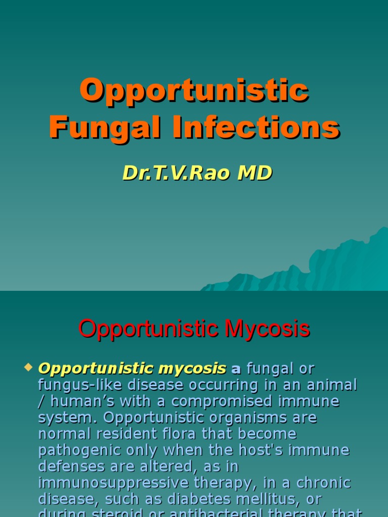 Common Opportunistic Fungal Infections | PDF | Candidiasis | Infection