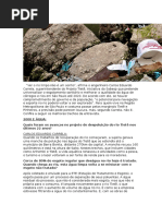 Ver o Rio Limpo Não é Um Sonho