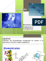 Biomoleculas Organicas e Inorganicas