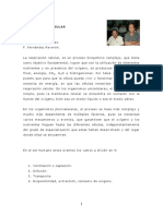 Oxigenacion 1 2 PDF