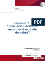 Informe Mineralurgia.docx
