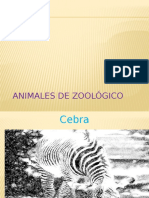 Animales Del Zoologico
