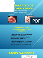 Odontopediatria