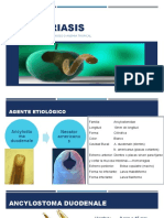 Ancylostomiasis: causas, síntomas y tratamiento de la anemia tropical