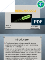 E. Coli TPPA An IV