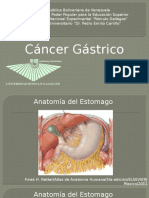 Cancer Gastrico