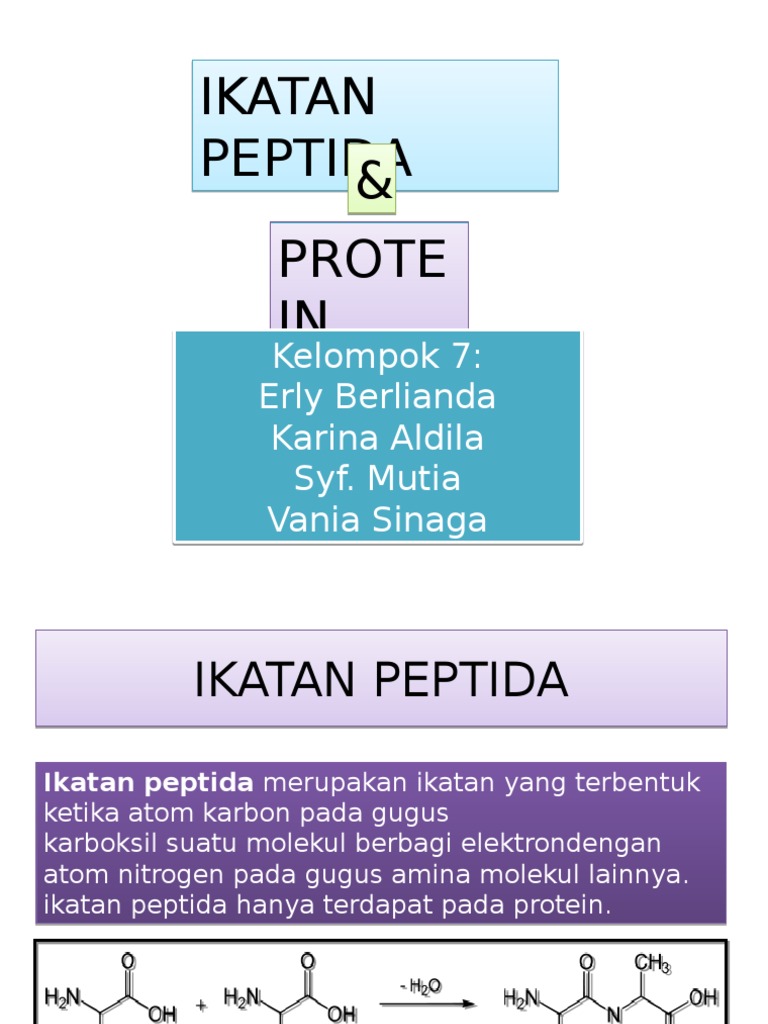 Ikatan Peptida Dan Protein | PDF